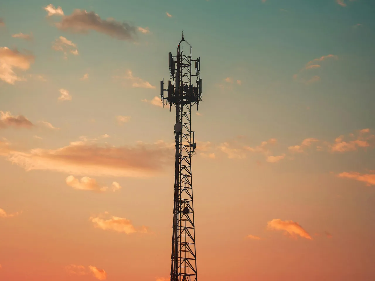 pexels derlei 2081132