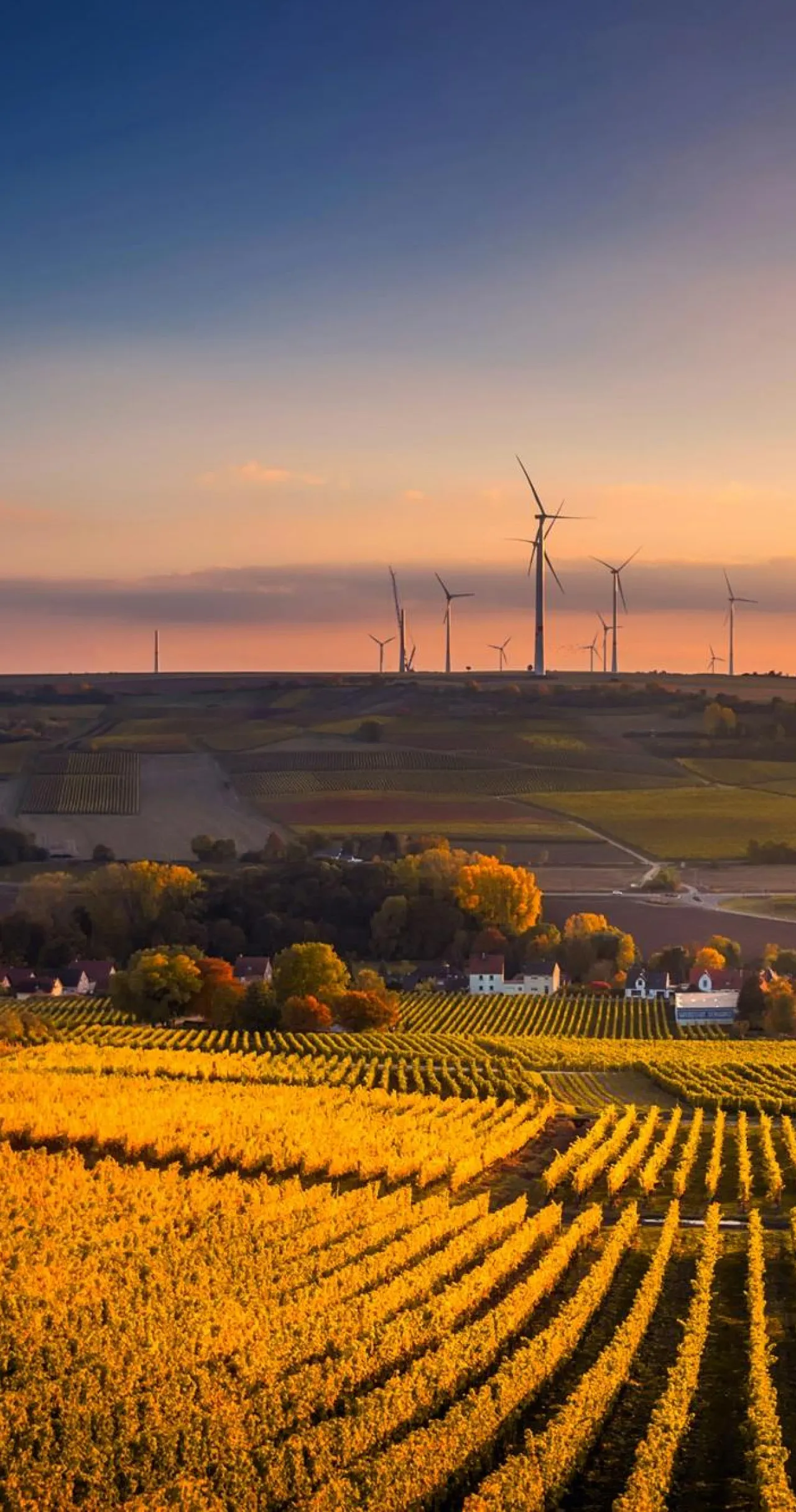 pexels pixabay 325944